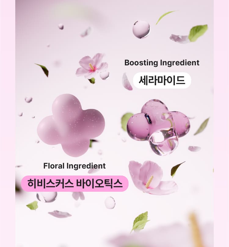 Boosting Ingredient 세라마이드 / Floral Ingredient 히비스커스 바이오틱스