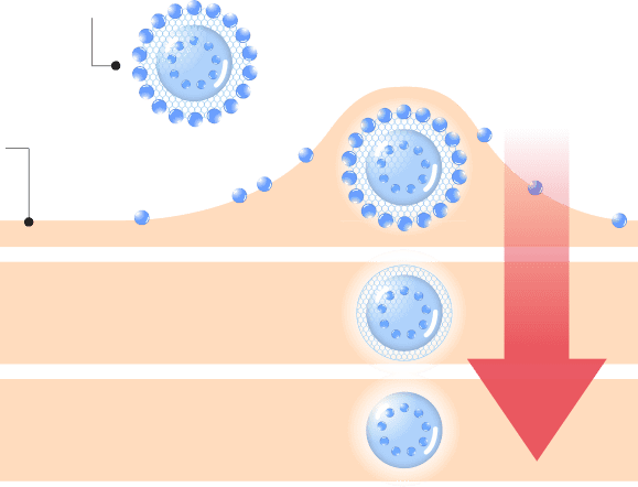 A model of liposomes delivering energy deep into the skin