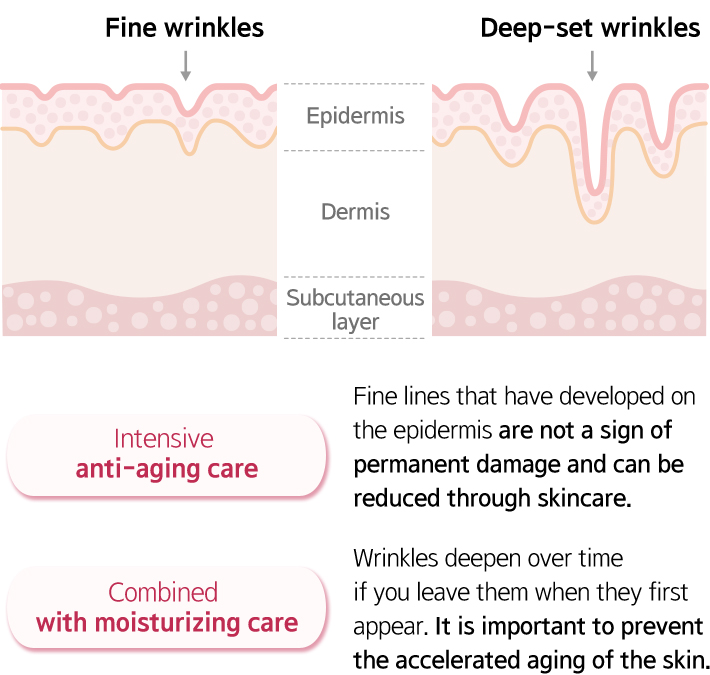 Intensive anti-aging care Fine lines that have developed on the epidermis are not a sign of permanent damage and can be reduced through skincare. Combined
with moisturizing care Wrinkles deepen over time if you leave them when they first appear. It is important to prevent the accelerated aging of the skin.