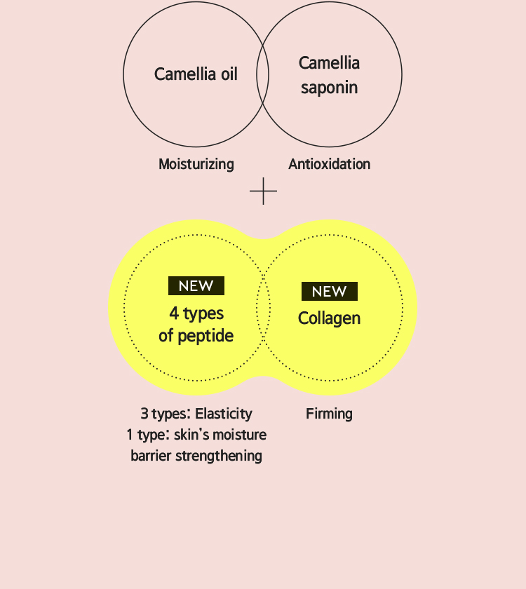 Camellia oil Moisturizing, Camellia saponin Antioxidation + NEW 4 types of peptide 3 types: Elasticity 1 type: skin's moisture barrier strengthening Firming, NEW Collagen Firming
