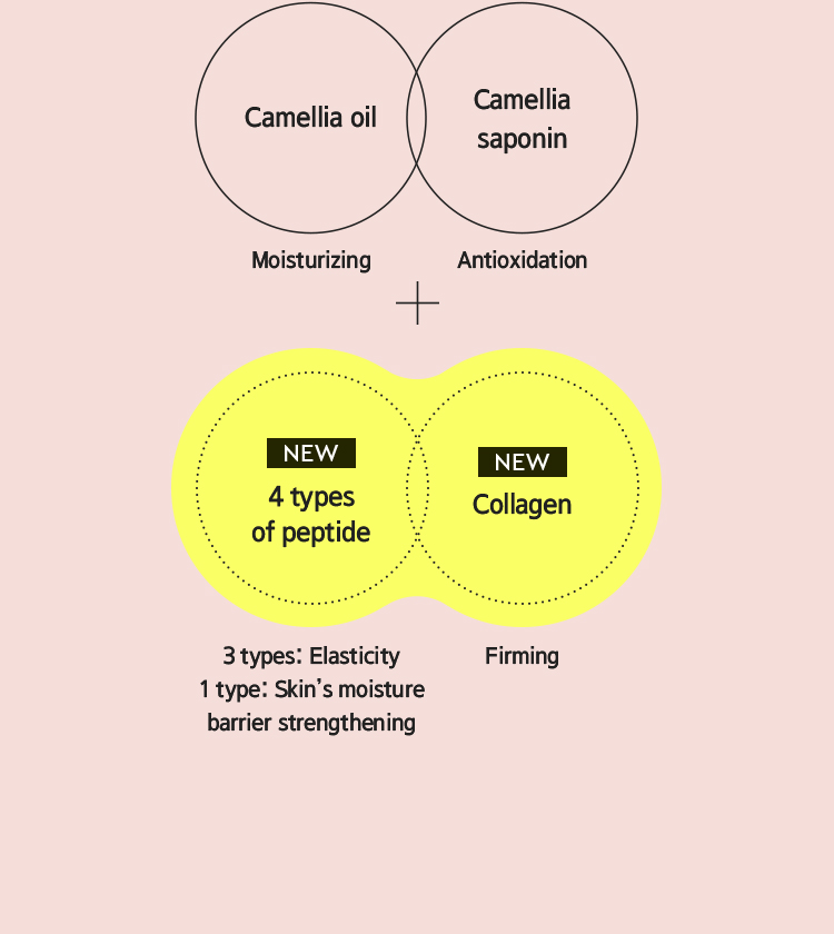 Camellia oil Moisturizing, Camellia saponin Antioxidation  + NEW 4 types of peptide, 3 types: Elasticity 1 type: Skin's moisture barrier strengthening / NEW Collagen Firming
