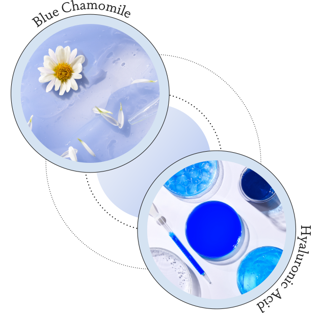 Blue Chamomile / Hyaluronic Acid