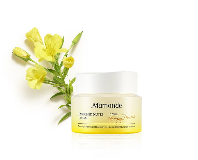 ENRICHED NUTRI CREAM
