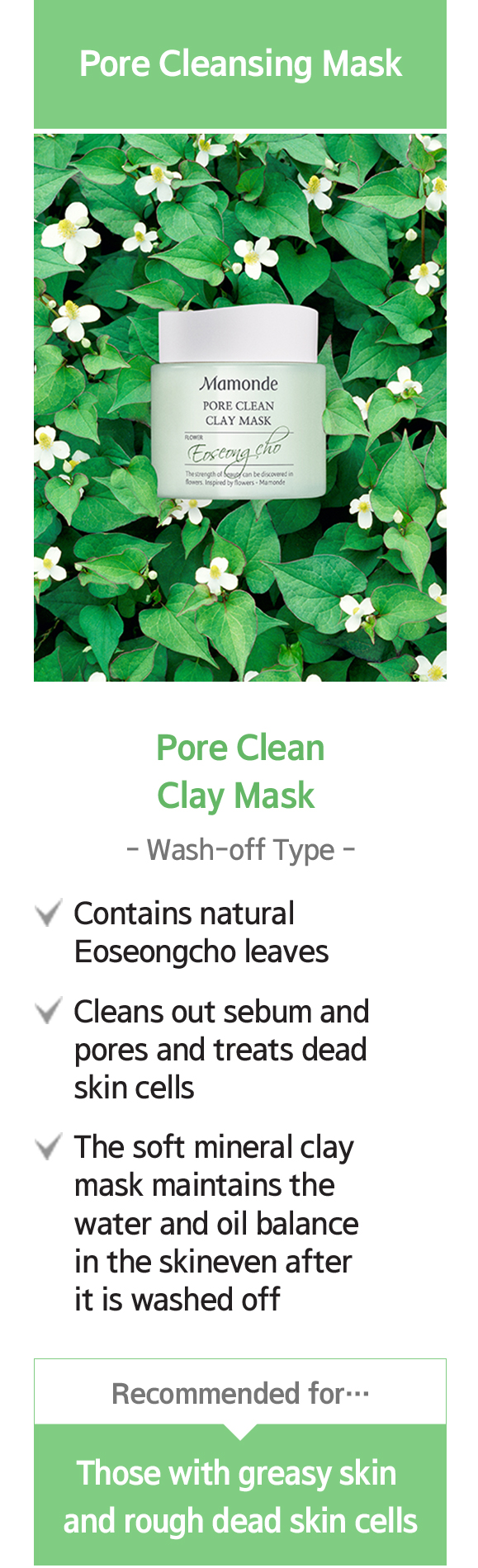 pore clean mask detail link