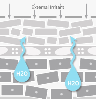 Illust of Damaged Skin moisture Barrier by External Irritant