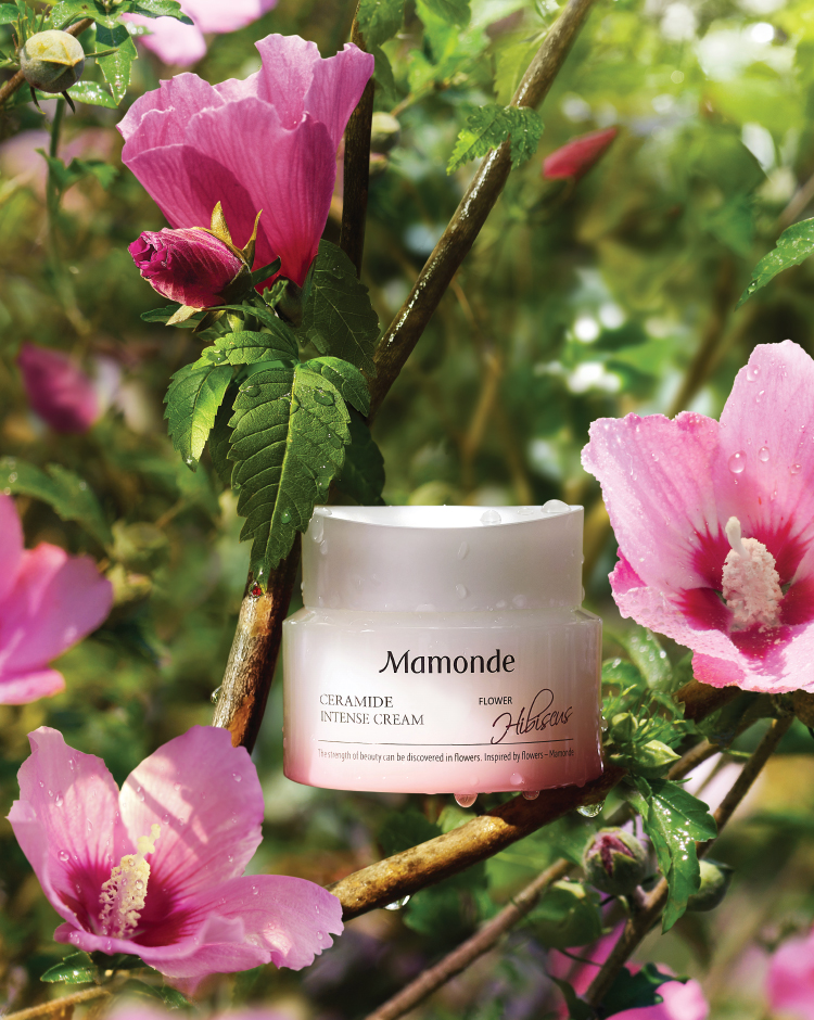 Ceramide Intense Cream image
