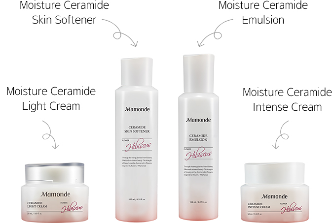 Ceramide Intense Cream Skin Care Cream Mamonde International