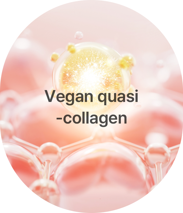 Vegan quasi-collagen
              
