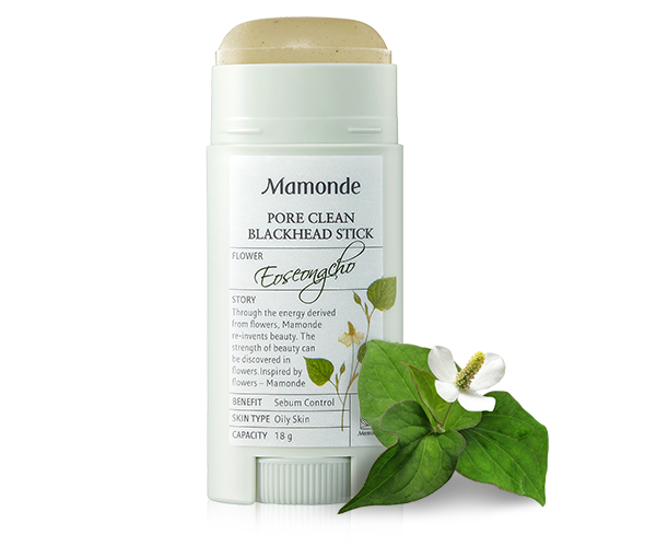 PORE CLEAN BLACKHEAD STICK