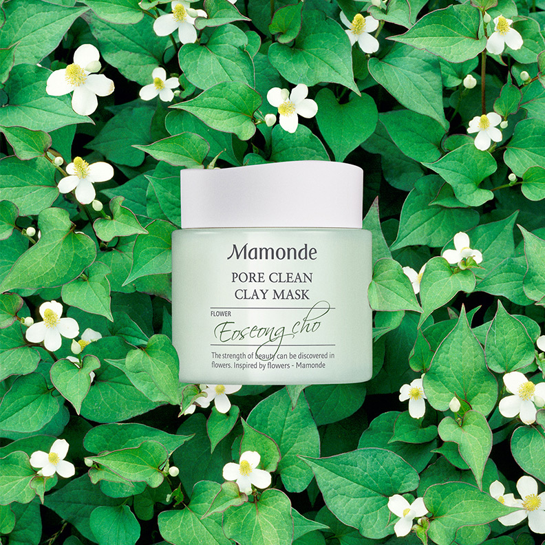 PORE CLEAN CLAY MASK