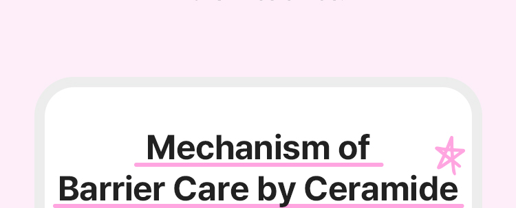 Mechanism of Barrier Care by Ceramide