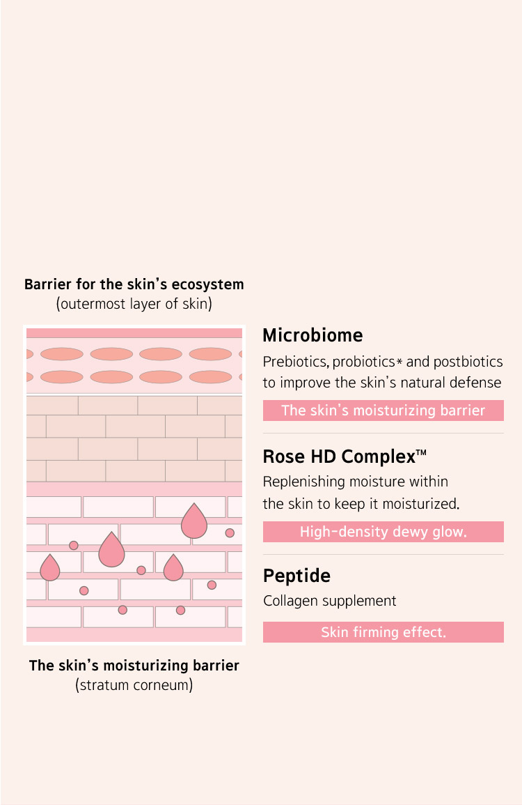 Barrier for the skin ecosystem (outermost layer of skin)