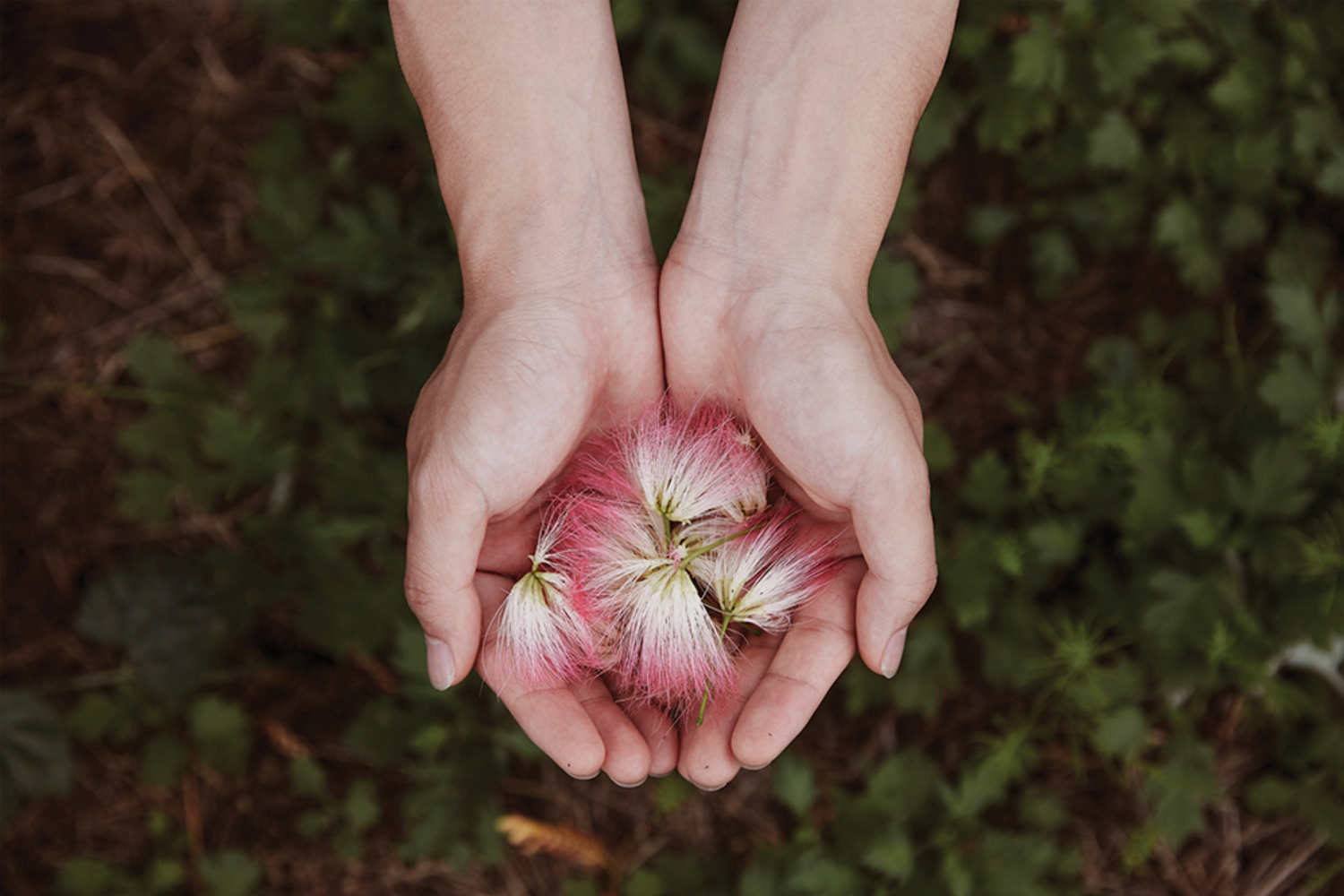 두 손 가득 꽃을 담고 있는 마몽드 보태니스트