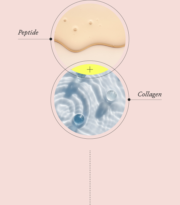 Peptide Collagen