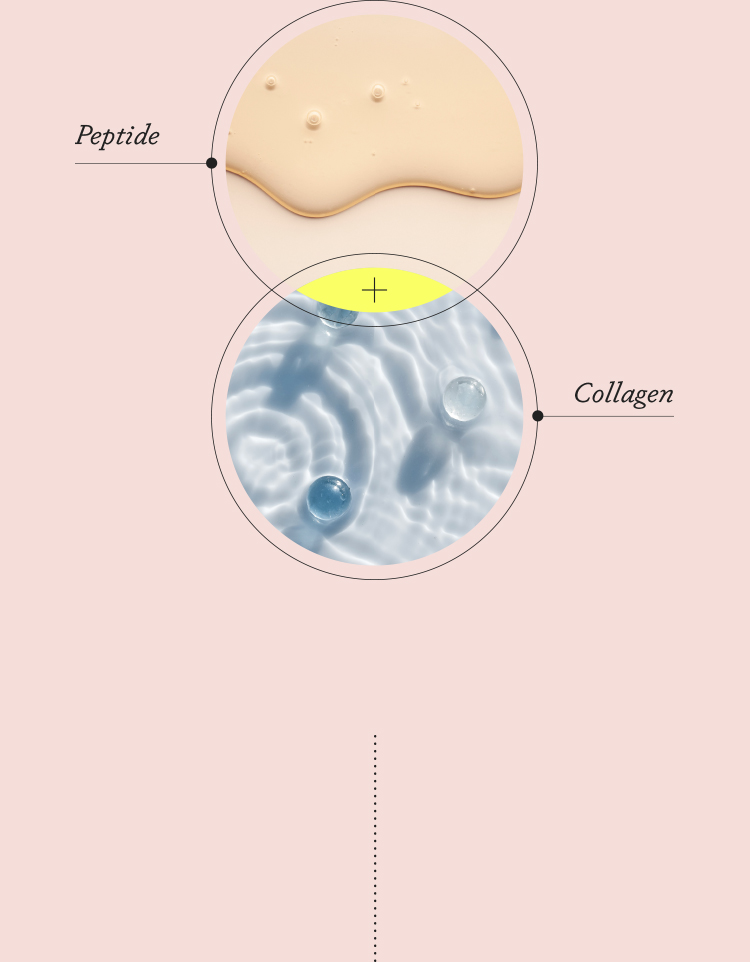 Peptide Collagen