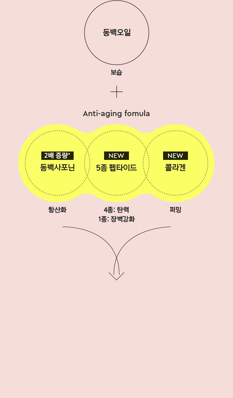 동백오일, 보습 + Anti-aging fomula, 2배 증량 동백사포닌 항산화, NEW 5종 펩타이드 4종: 탄력 1종: 장벽강화, NEW 콜라겐 퍼밍