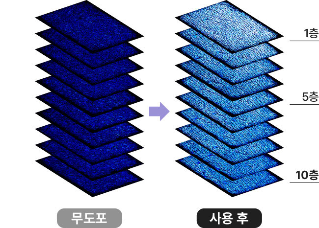 사용 후, 무도포에 비교하여 각질층 10층까지 채워진 속보습