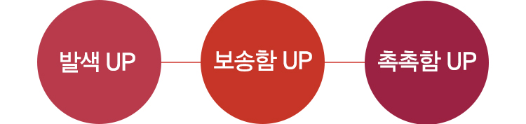 발색 UP, 보송함 UP, 촉촉함 UP