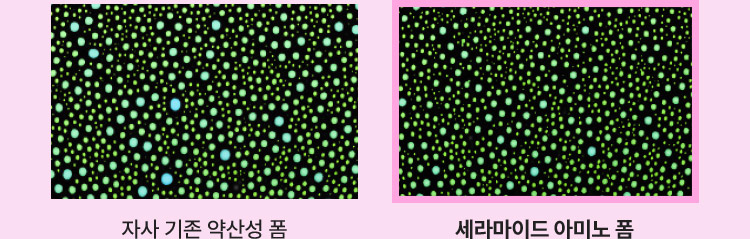자사 기존 약산성 폼, 세라마이드 아미노 폼