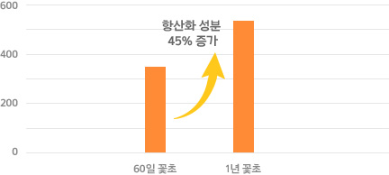 60일 발효 꽃초에 비해 1년 발효 꽃초가 항산화 성분 45% 증가