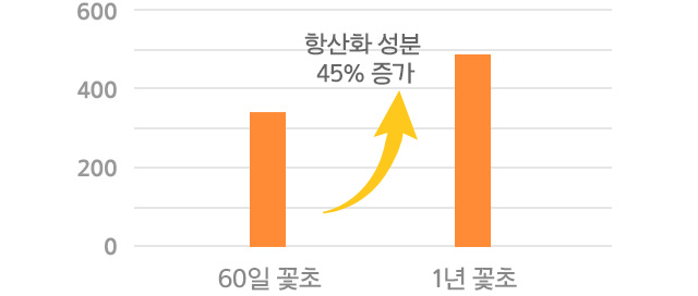 60일 발효 꽃초에 비해 1년 발효 꽃초가 항산화 성분 45% 증가