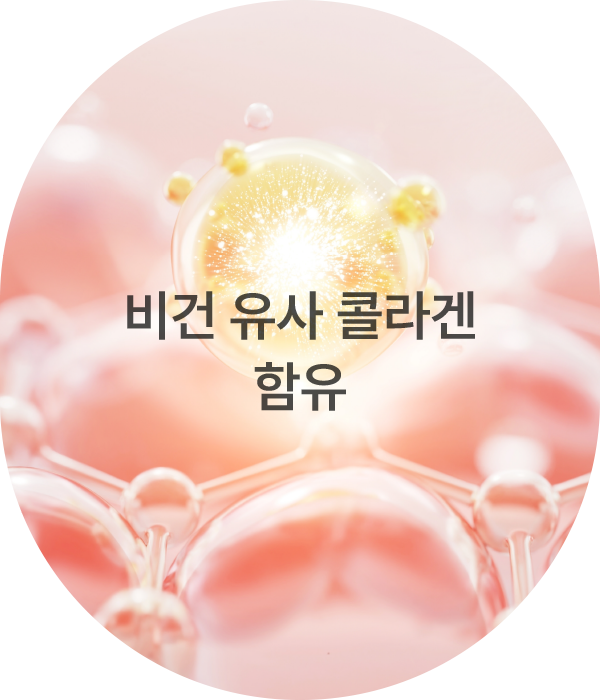 비건 유사 콜라겐 함유