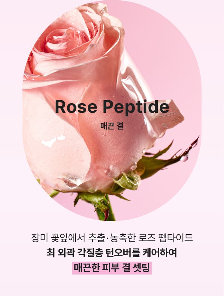 Rose Peptide 매끈 결/장미 꽃잎에서 추출·농축한 로즈 펩타이드 최 외곽 각질층 턴오버를 케어하여 매끈한 피부 결 셋팅
