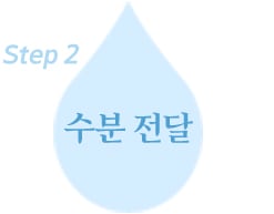 step2 수분 전달
