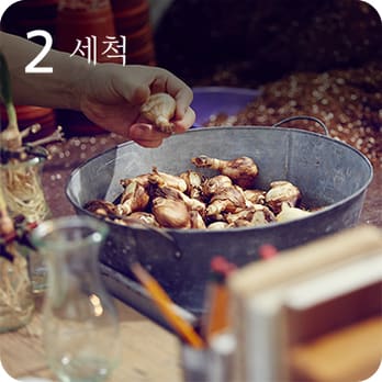 2 세척