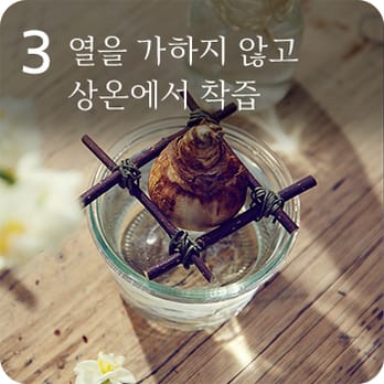 3 열을 가하지 않고 상온에서 착즙