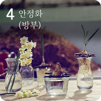 4 안정화 (방부)