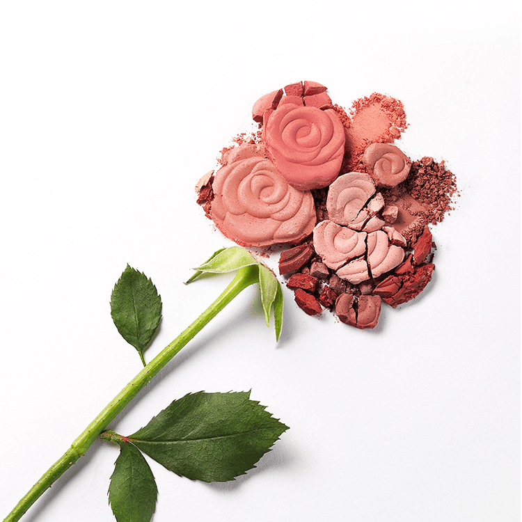플라워 팝 블러셔 내용물로 만든 장미 꽃잎 모양
