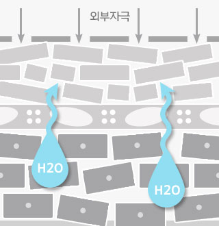 외부자국에 피부 장벽이 무너져 수분이 빠져나가는 일러스트