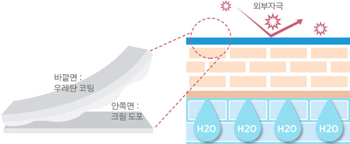 시트 바깥면: 우레탄 코팅, 안쪽면: 크림 도포 관련 일러스트