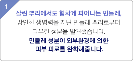 맨 리차징 2종 세트 제품컷