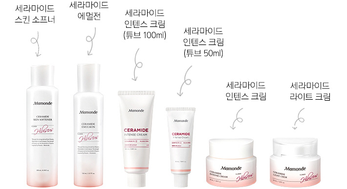 세리마이드 라인 6종 제품: 세라마이드 스킨 소프너, 세라마이드 에멀젼, 세라마이드 인텐스 크림 (튜브 100ml), 세라마이드 인텐스 크림 (튜브 50ml), 세라마이드 인텐스 크림, 세라마이드 라이트 크림