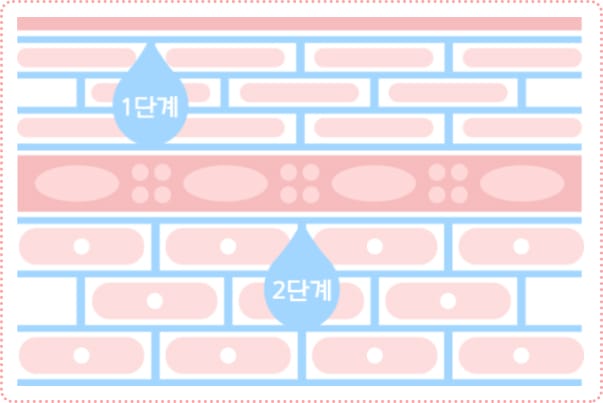 단계별로 강화되는 피부 장벽