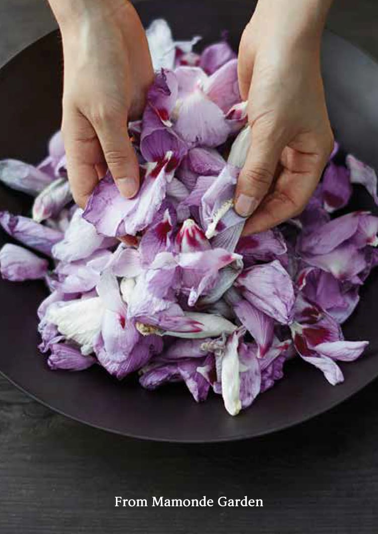 마몽드 가든에서 가득 담은 무궁화를 손질하고 있는 이미지, From Mamonde Garden