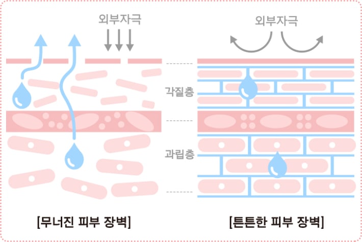 세라마이드 인텐스 크림
