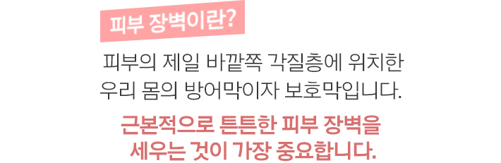 세라마이드 2종 이미지