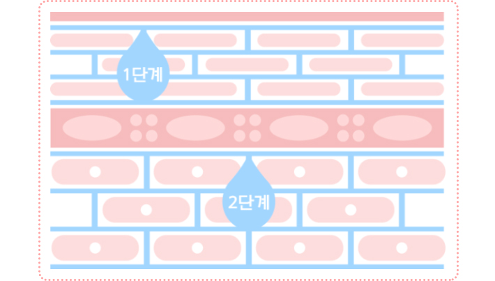 세라마이드 2종 이미지