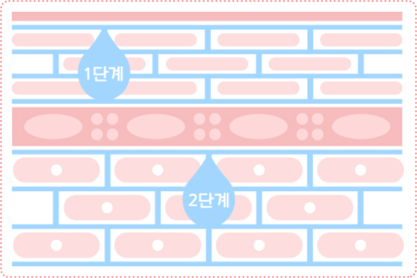 1단계 및 2단계로 단계별로 강화되는 피부 장벽