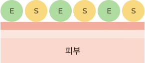 AD전(듀얼오일) 피부