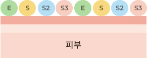 AD후 (쿼드오일) 피부