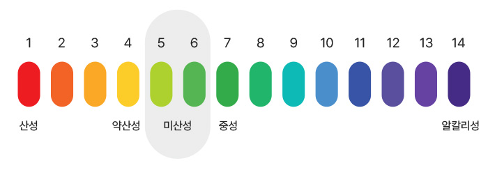 pH 1부터 14까지의 산성도 스케일. 붉은색(pH 1)에서 시작하여 주황, 노랑, 초록, 파랑, 보라색(pH 14)으로 변하는 캡슐 형태로 표현. pH 1은 산성, pH 4는 약산성, pH 5-6은 미산성(강조 표시), pH 7은 중성, pH 14는 알칼리성으로 구분