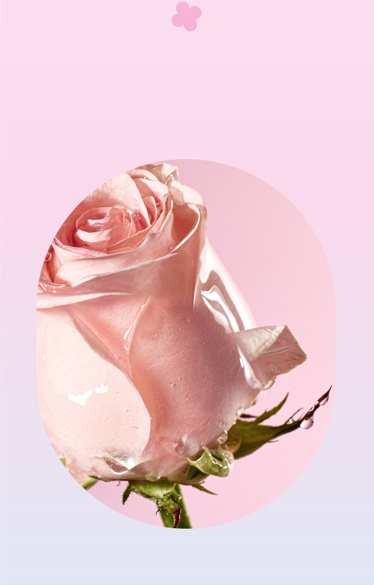Rose Peptide 매끈 결