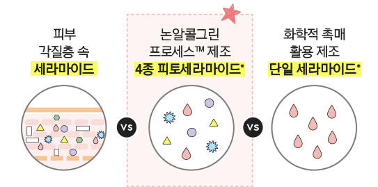 피부 각질층 속 세라마이드 vs 논알콜그린 프로세스 제조 4종 피토세라마이드 vs 화학적 촉매 활용 제조 단일 세라마이드