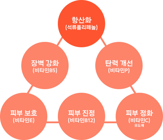 항산화(석류폴리페놀), 장벽 강화(비타민B5), 탄력 개선(비타민C), 재생(비타민E), 수분 공급(qlxkalsㅠ12), 진정(비타민P)