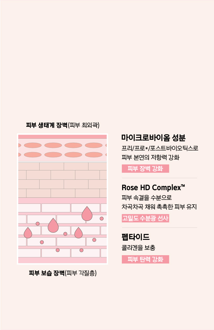피부 장벽
