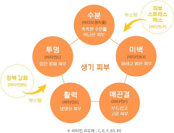 하단 텍스트 참조